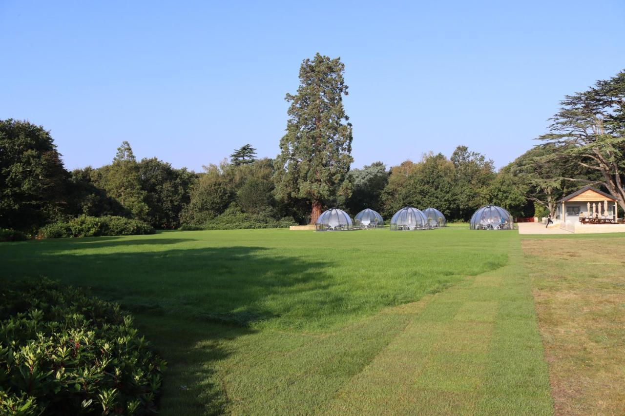 Orange Grove Hotel & Gardens Sarisbury Green 外观 照片